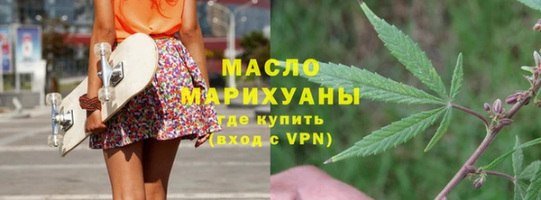 гашик Гусь-Хрустальный