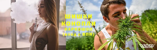 спайс Гусев