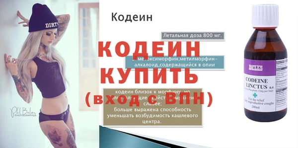 гашик Гусь-Хрустальный