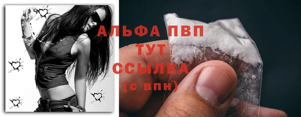 спайс Гусев