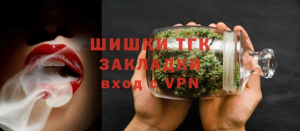 спайс Гусев
