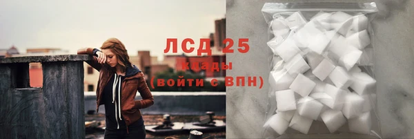 спайс Гусев