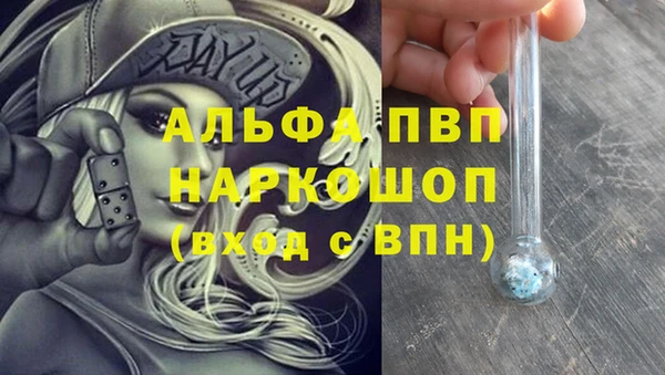 гашик Гусь-Хрустальный