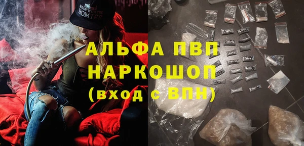 гашик Гусь-Хрустальный