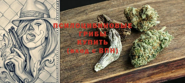 спайс Гусев