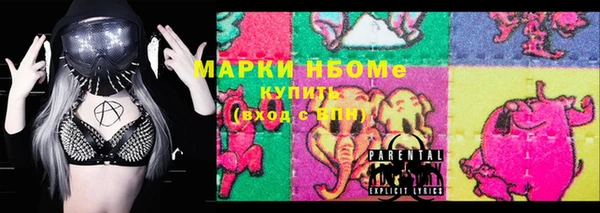 гашик Гусь-Хрустальный