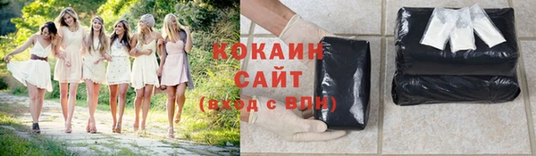 спайс Гусев