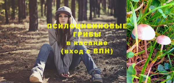 прущая мука Гусиноозёрск