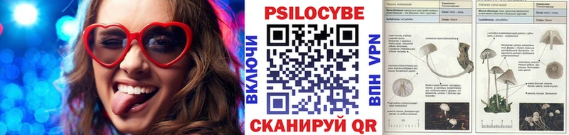 Галлюциногенные грибы мицелий  где продают наркотики  Чишмы 
